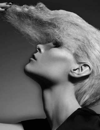 Collection Anna Pacitto Contessa Canadian Hairstylist of the Year 2017 02