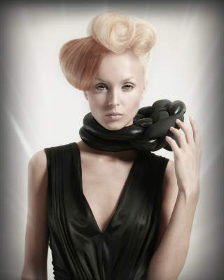 Collection Anna Pacitto NAHS Master Hairstylist 2011 03