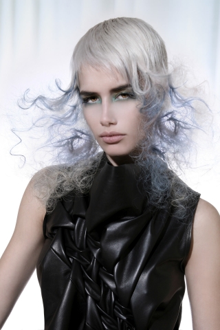 Collection NAHA Salon Team 2009 03