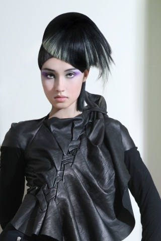 Collection NAHA Salon Team 2009 05