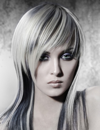 Quebec Salon of the year, Mirror Awards, 2009