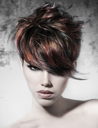 Collection Quebec Salon Stylist Salon Pure 02